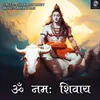 Om Namah Shivaya